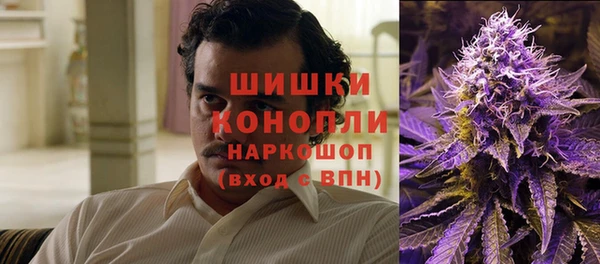 дурь Арсеньев