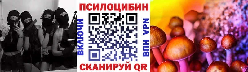 Псилоцибиновые грибы Cubensis  Мураши 