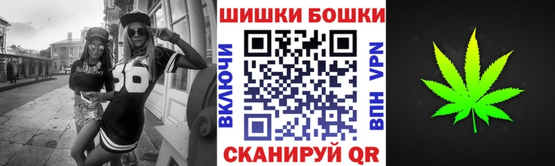 блэк спрут как зайти  Мураши  Конопля SATIVA & INDICA 